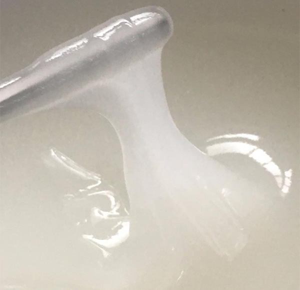 檔案修復(fù)中使用的粘合劑 檔案修復(fù)中使用的粘合劑