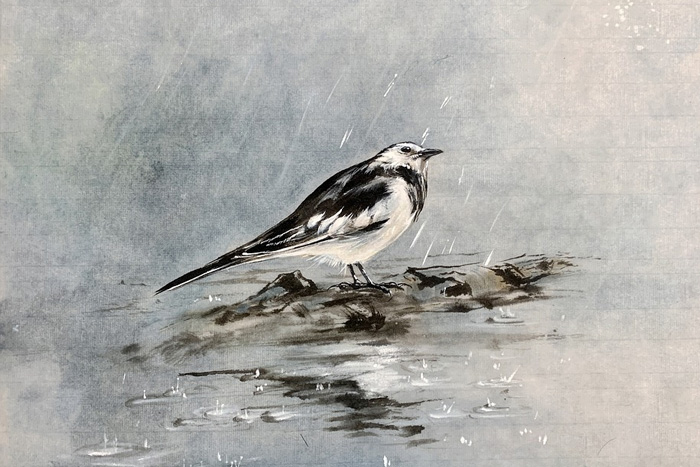 字畫(huà)變黑 字畫(huà)變黑