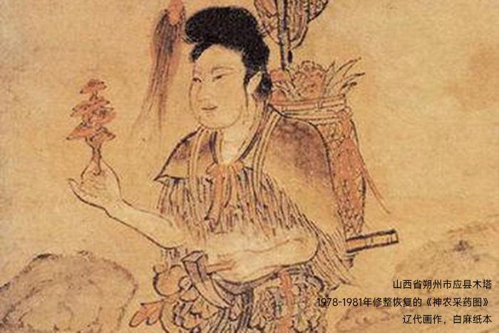 山西省朔州市應(yīng)縣木塔修整恢復(fù)遼代白麻紙本《神農(nóng)采藥圖》 山西省朔州市應(yīng)縣木塔修整恢復(fù)遼代白麻紙本《神農(nóng)采藥圖》