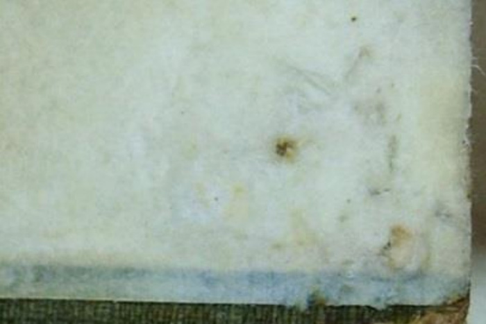 圖2-以草酸去除字畫銹斑效果