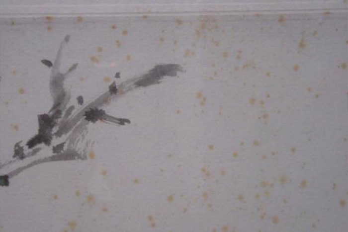 圖1-紙質(zhì)文物劣化及褐斑